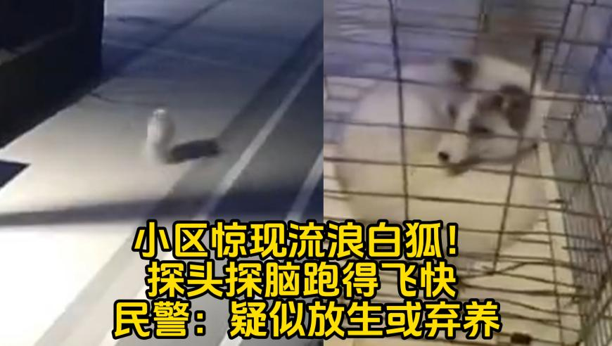 台湾称发现48架大陆军机 外交部回应,打开澳门免费资料网站1778,机构预测与落实方法揭秘_极速版V1.49