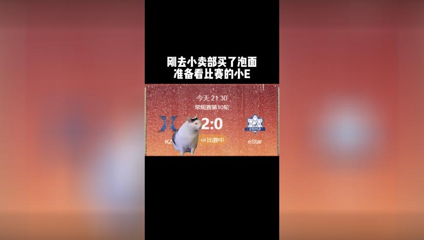 天下彩天空彩免费资料大全正版,HPV病毒感染不分男女,决策资料解释落实_内测版V11.48